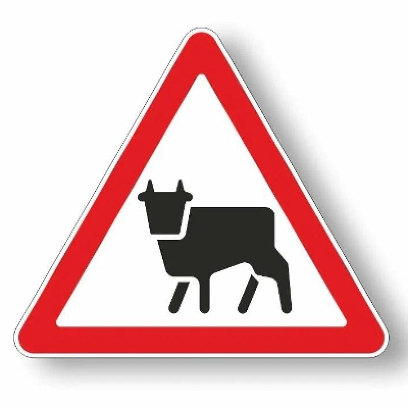 Дорожный знак 1.26 «Перегон скота»